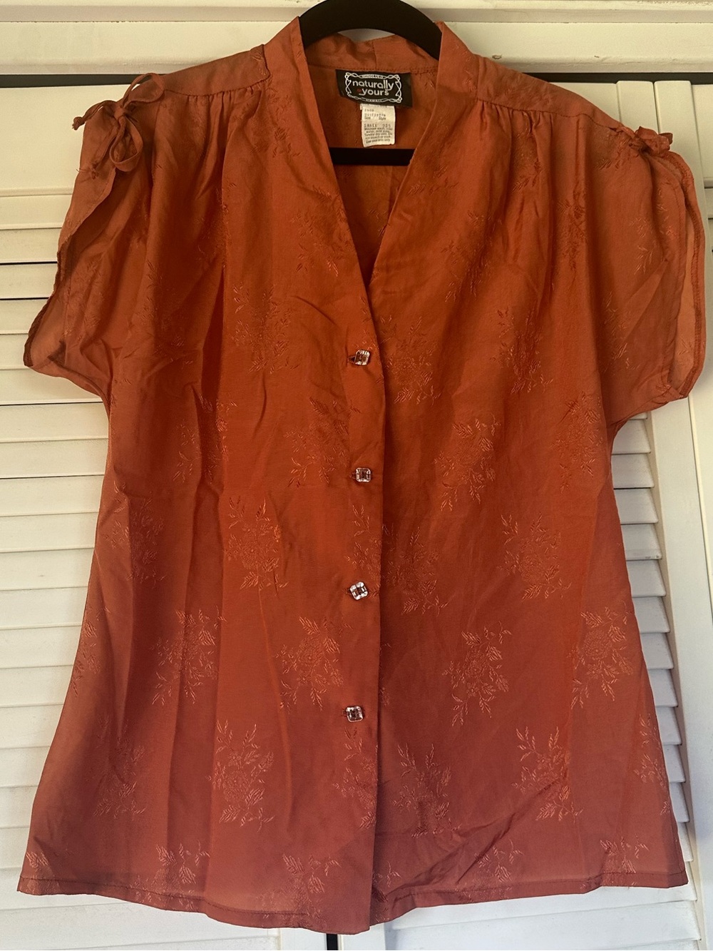 Rust Short-Sleeve Button Front Blouse